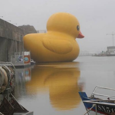 Giant Rubber Duckie